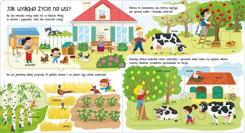 Aksjomat Kas ir kaip? Atidarykite langus! kaime 38962