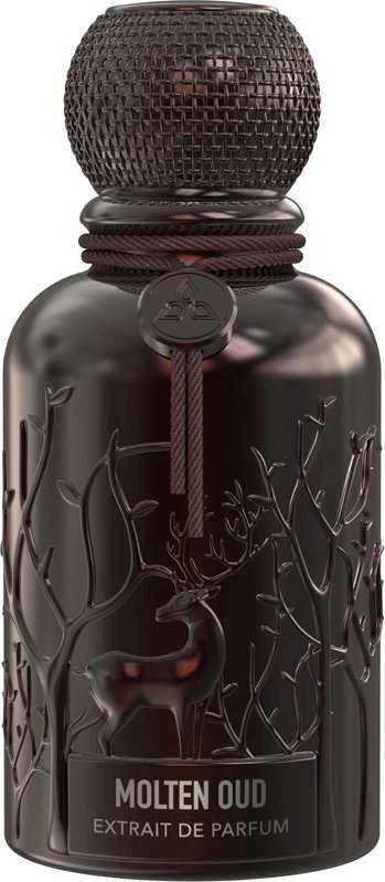 Auraa Desire Molten Oud PP kvepalai vyrams, 100 ml