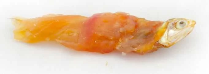 ALDA G160 Žuvis įvyniota į vištienos mėsą 500g