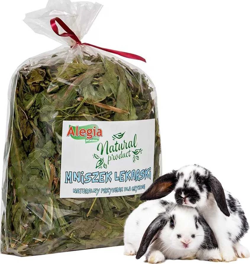 Graužikų Skanėstas - Alegia 300g, Geltona