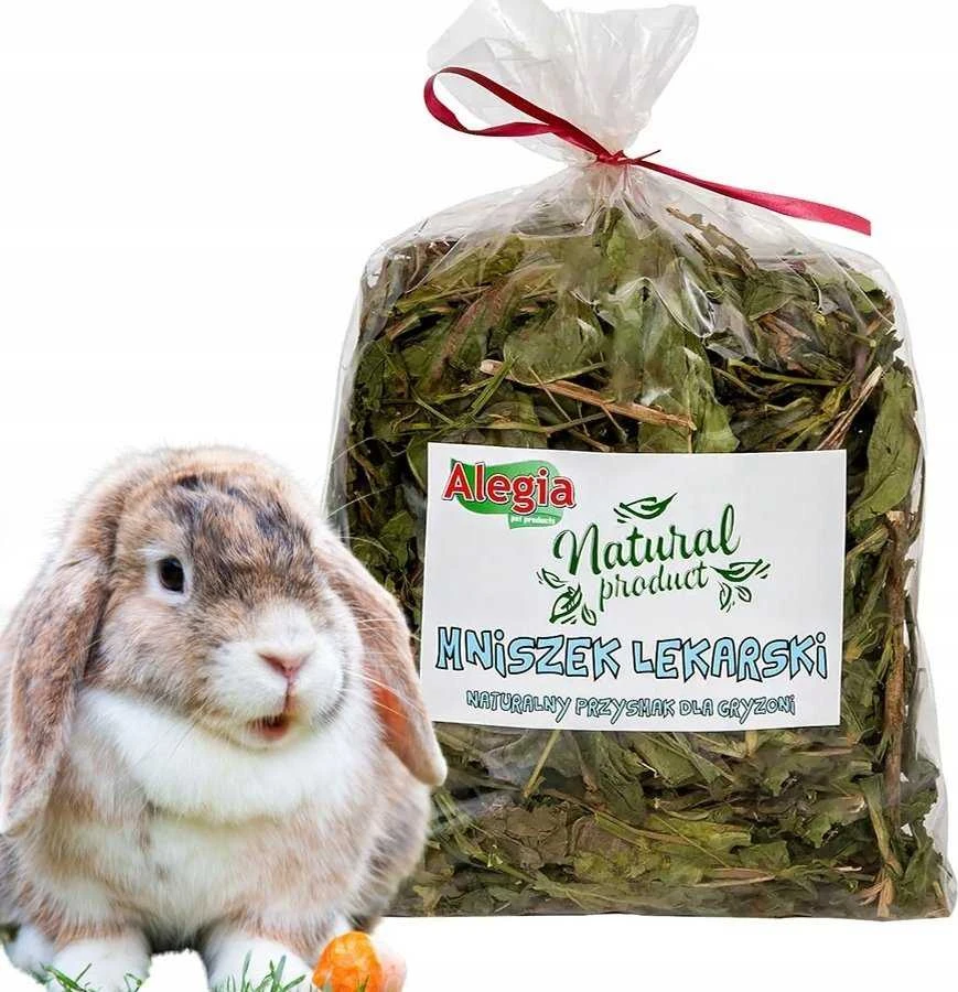 Graužikų Skanėstas - Alegia 300g, Geltona