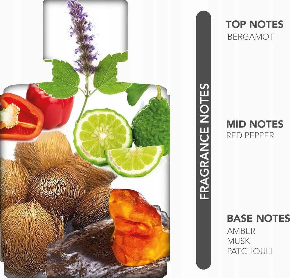 Nylaa Grande Passion EDP parfumuotas vanduo vyrams, 100 ml