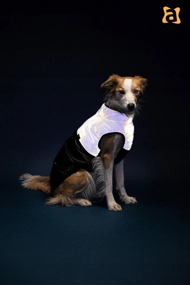 Ami Play Amiplay JACKET FOR DOGS FLUO Juodas. Baltas 25