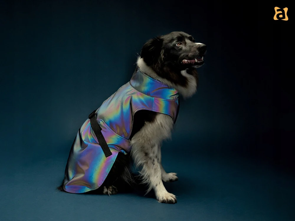 Ami Play Amiplay JACKET FOR DOGS PETROL Pilkas 45