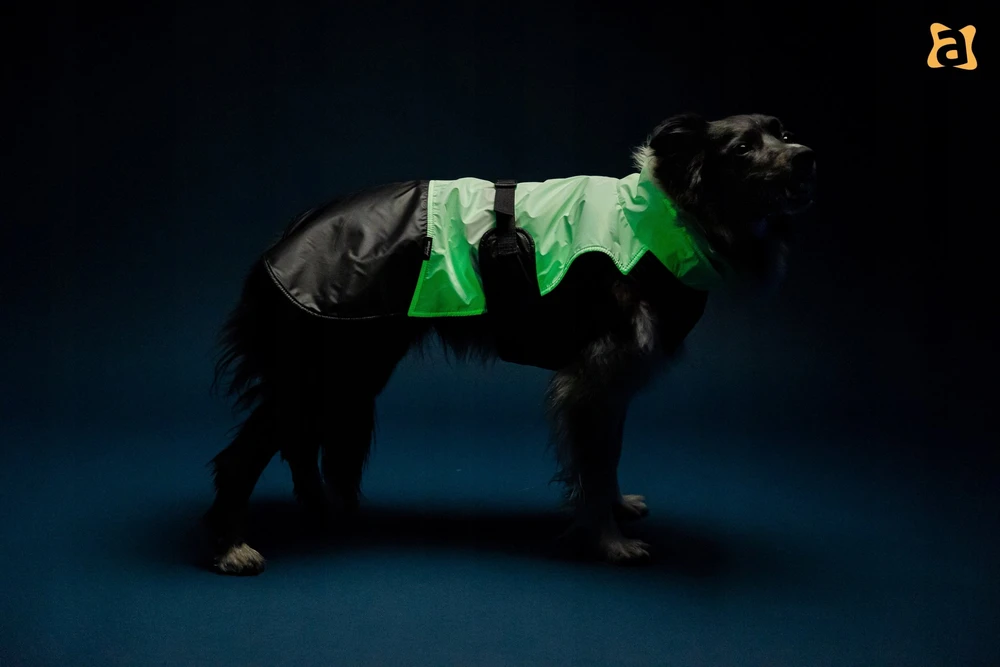 Ami Play Amiplay JACKET FOR DOGS FLUO Juodas. Baltas 50