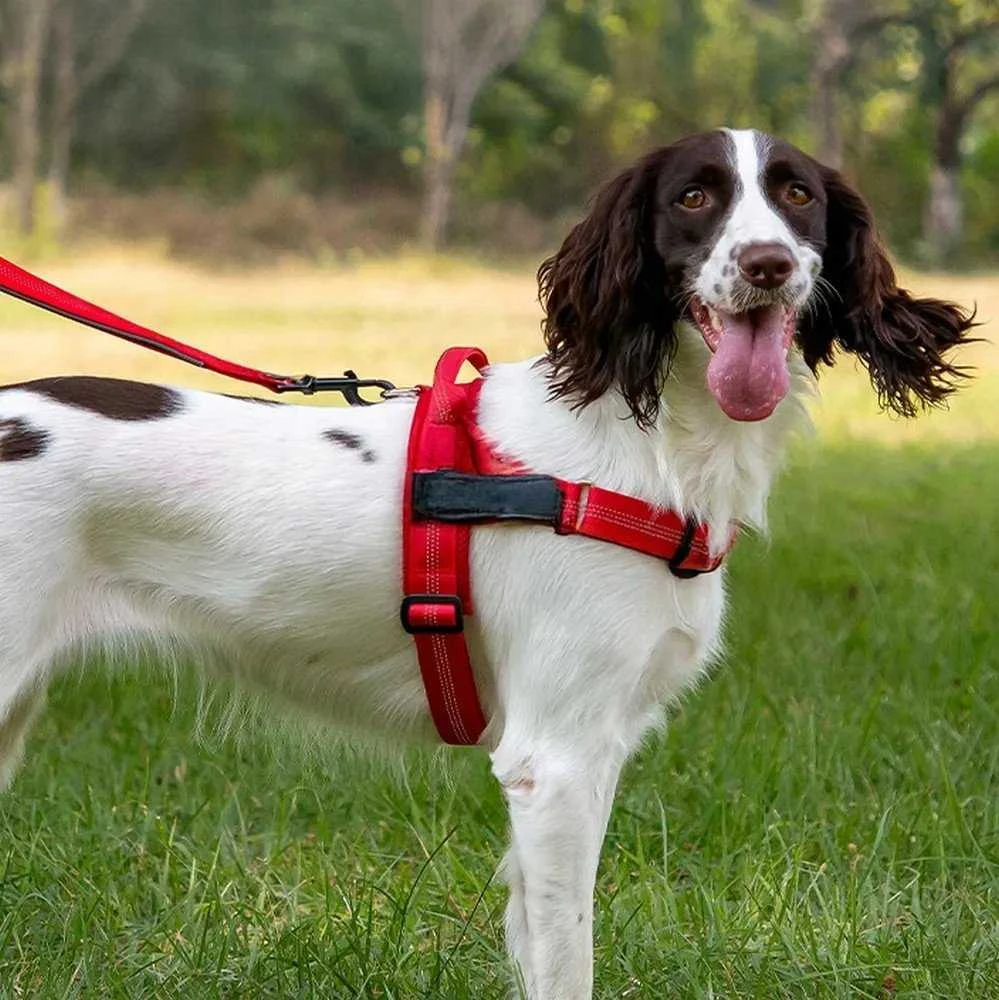 Oem Dog harness REFLECTIVE SILK dydis XL red