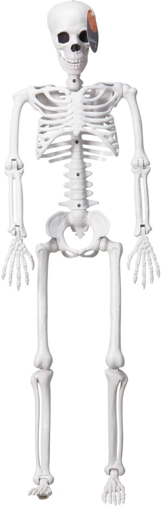ROSA Nežinomas DEKORACIJA SKELETAS H90CM