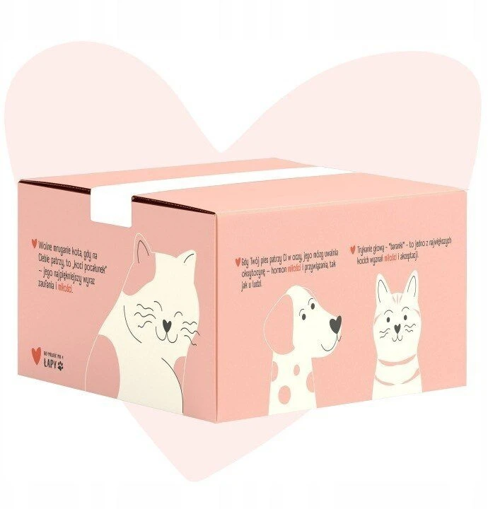 ANIMAL ISLAND Love Box Filety w rosole mix smaków 48szt + zabawka