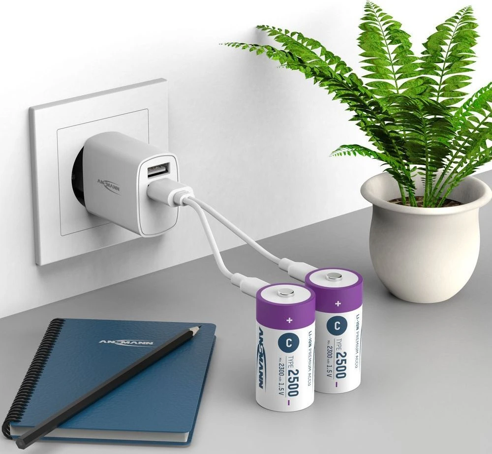Ansmann ANSMANN 1313-0004 Li-Ion rechargeable batteries Baby C type 2500 (min. 2300 mAh) 2-pack box