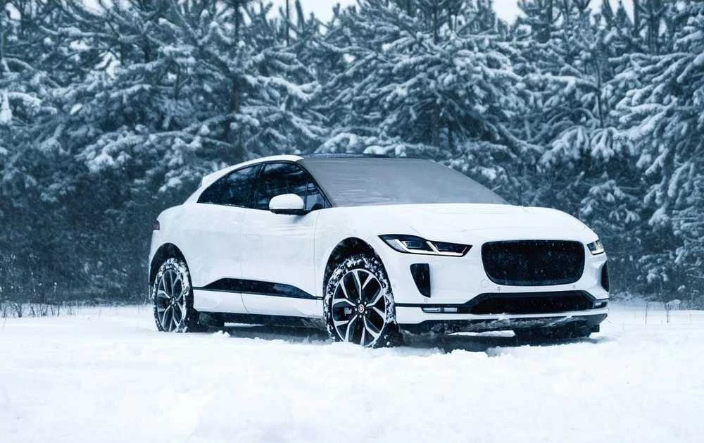ANTI-FROST PE LANGŲ DANGALAS 85x185CM DUNLOP