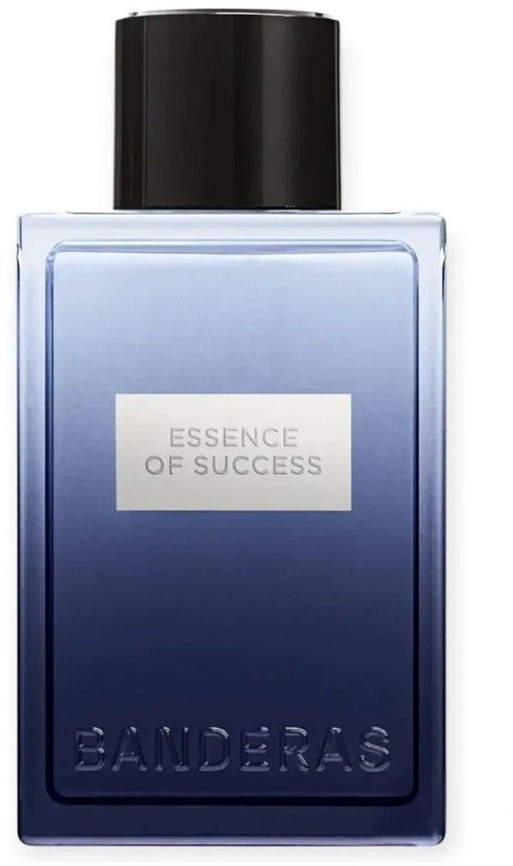Antonio Banderas Essence of Success EDT tualetinis vanduo vyrams, 100 ml