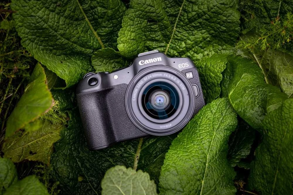 Canon EOS R8 + RF 24-50mm IS STM (Juodas)