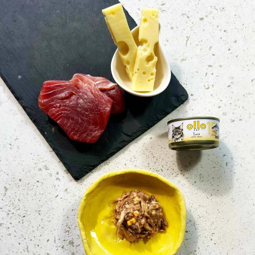 OLLO Cat nr 10 Tuna & Cheese in broth – šlapias kačių maistas – 70g