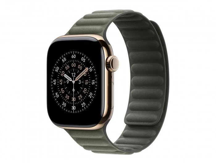 Apple 42mm Sage Gray Magnetic Link - M/L