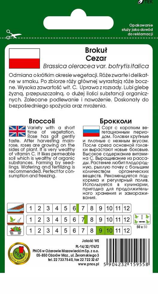 Caesar Broccoli PNOS Vegetable Seeds, 2g Pack