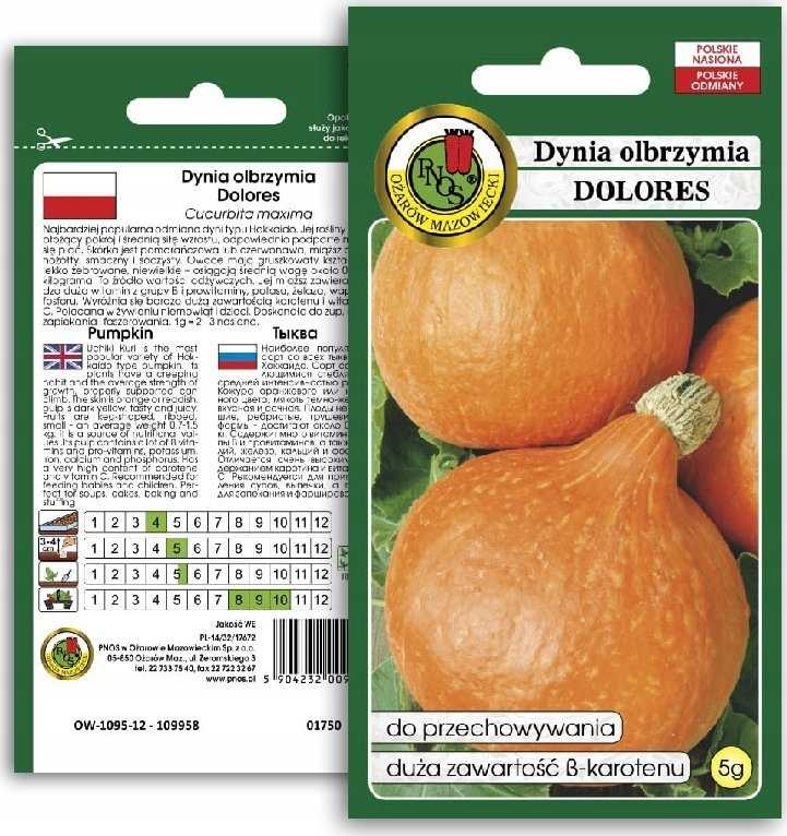 Giant Pumpkin Dolores PNOS Vegetable Seeds, 5g Packaging