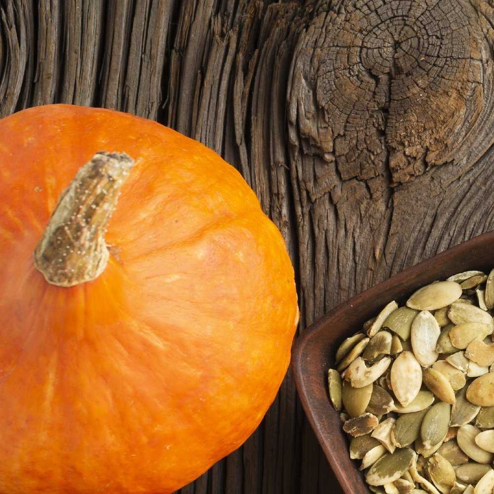 Giant Pumpkin Dolores PNOS Vegetable Seeds, 5g Packaging