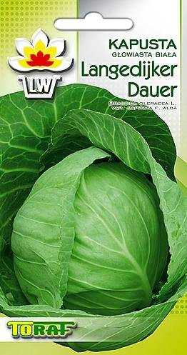 Langedi Cabbage PNOS Vegetable Seeds, 2g Package