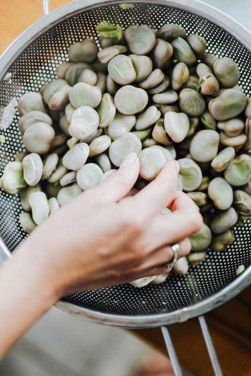 Jankiel Baltas Bean PNOS Vegetable Seeds, 50g Package