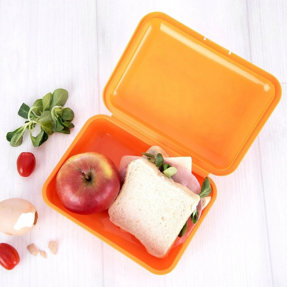 Aptel Orion Pietų Dėžutė 750 ml - Bento Tipas - Kelių Spalvų
