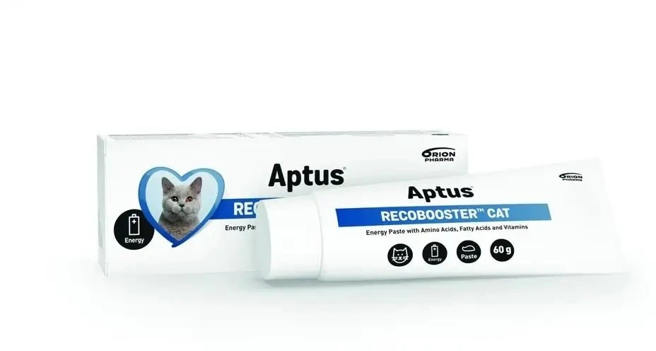 Aksesuarai - Aptus Recobooster mitybos ir apetito kontrolės pasta 60g