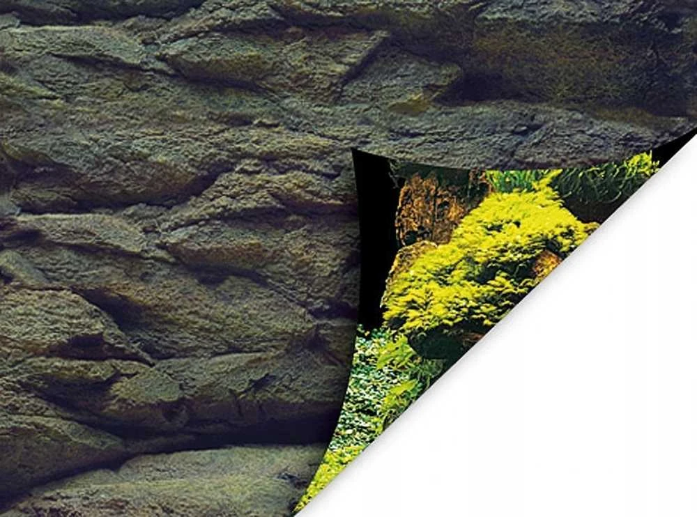 AQUA NOVA fonas akmenys/augalai 100x50cm