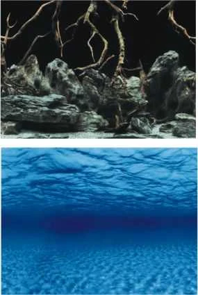 AQUA NOVA fonas šaknys/vanduo 100x50cm