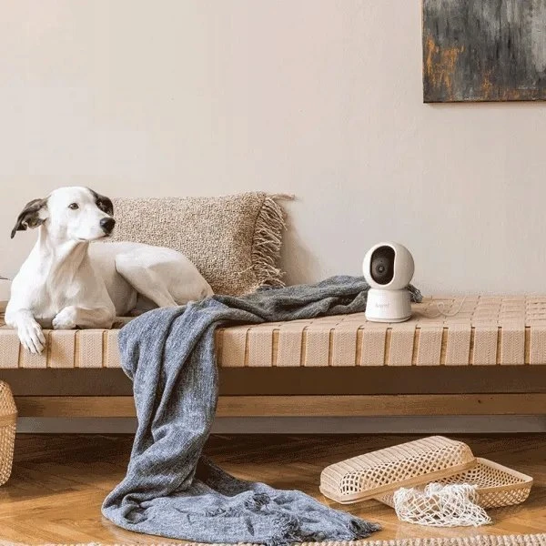 Arenti Belaidė IP kamera Belaidė P2Q 4MP vidinė UHD Pan-Tilt Wi-Fi kamera