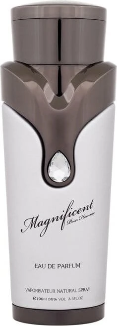 Armaf Magnificent EDP parfumuotas vanduo vyrams, 100 ml