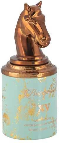 Armaf Bucephalus No. XV EDP parfumuotas vanduo vyrams, 100 ml