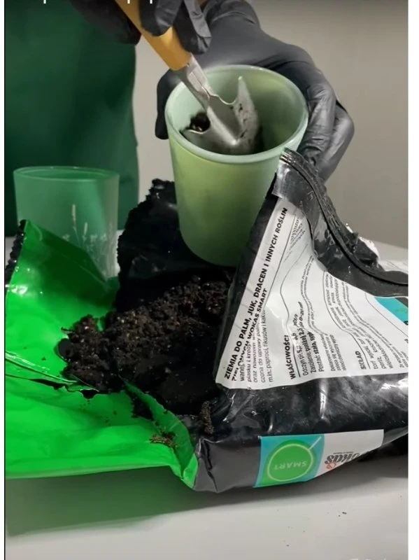 Basil „Aroma Home“ bazilikų kvapioji žvakė, 150 g