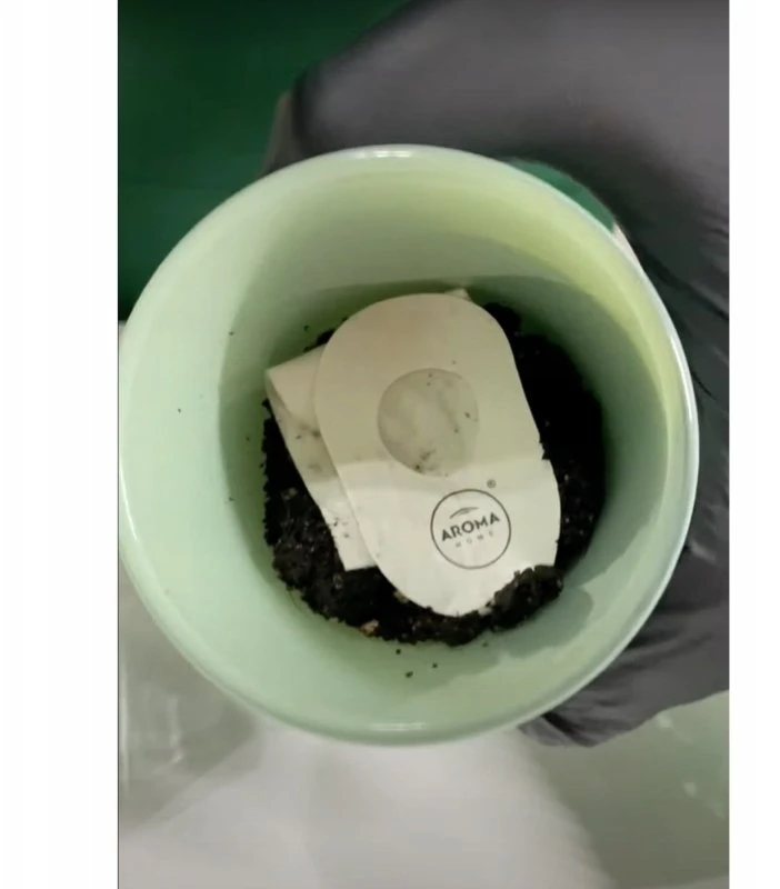 Basil „Aroma Home“ bazilikų kvapioji žvakė, 150 g