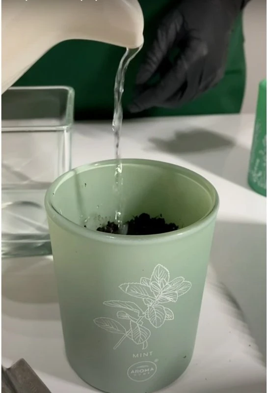 Basil „Aroma Home“ bazilikų kvapioji žvakė, 150 g