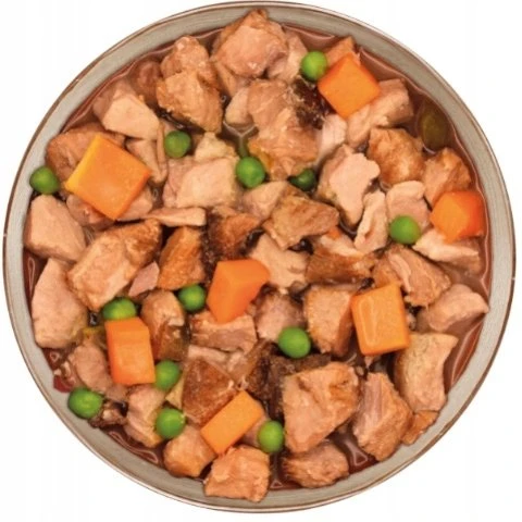 ARQUIVET Fresh Home žuvis stew – drėgnas ėdalas šunims – 280g