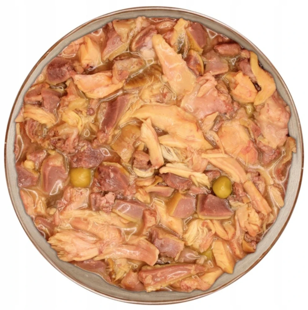 ARQUIVET Fresh Home antiena stew – drėgnas ėdalas šunims – 280g