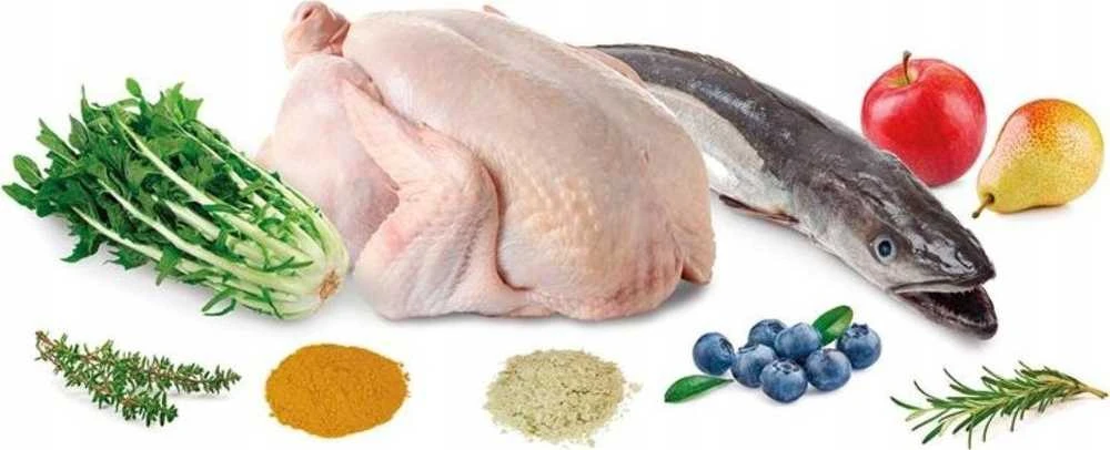 ARQUIVET Fresh Senior & Light kalakutiena ir žuvis - pusiau drėgnas šunų maistas - 10 kg