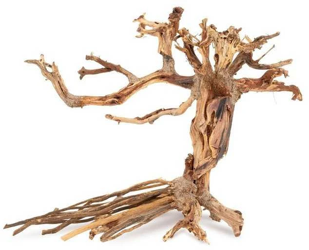 Bonsai medelis akvariumui šakota medžio šaknis