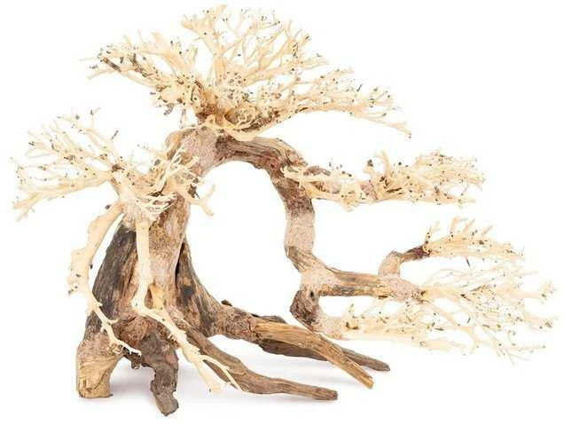 Skęstantis bonsai medelis akvariumui Nr. 63