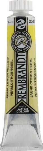 Artequipment Rembrandt Watercolour Tube Permanent Lemon Geltona 254