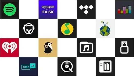 Arylic Arylic SA100 Multiroon Streamer su įmontuotu stiprintuvu