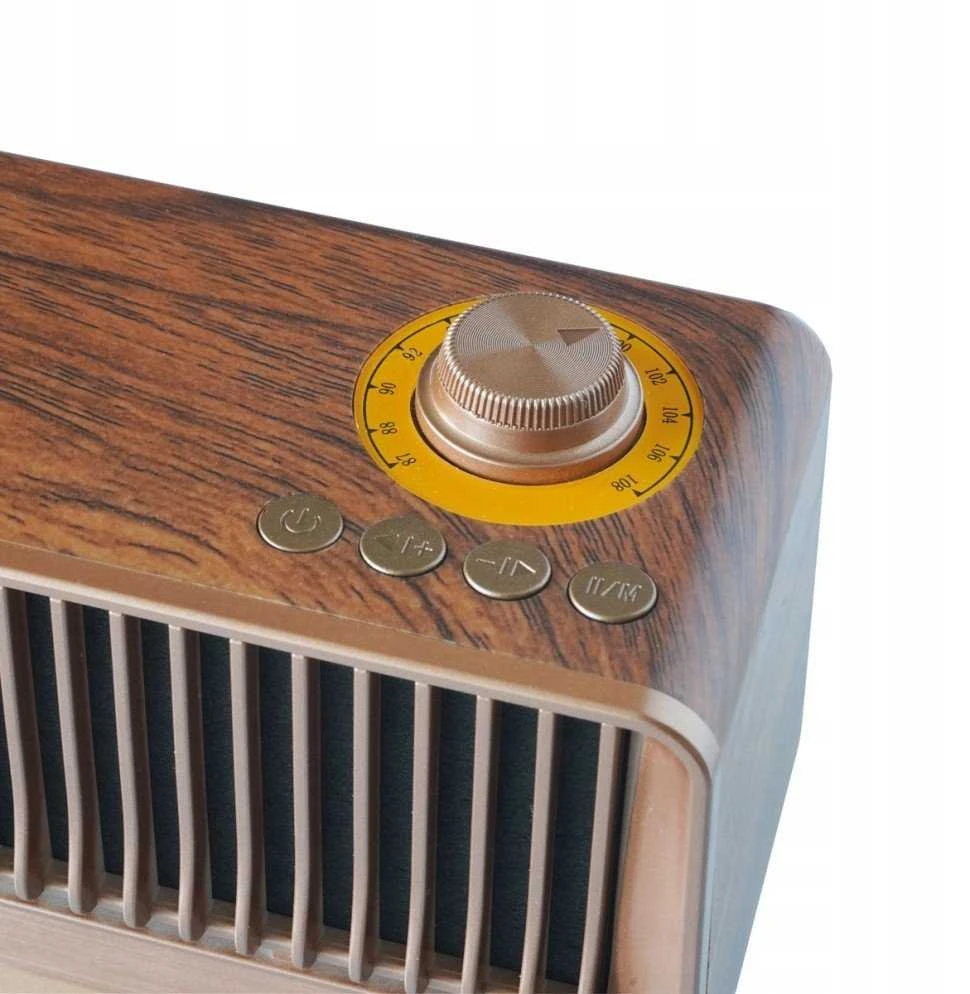 Astar Radio Modernus vintažinio stiliaus radijo imtuvas Tiross TS-464