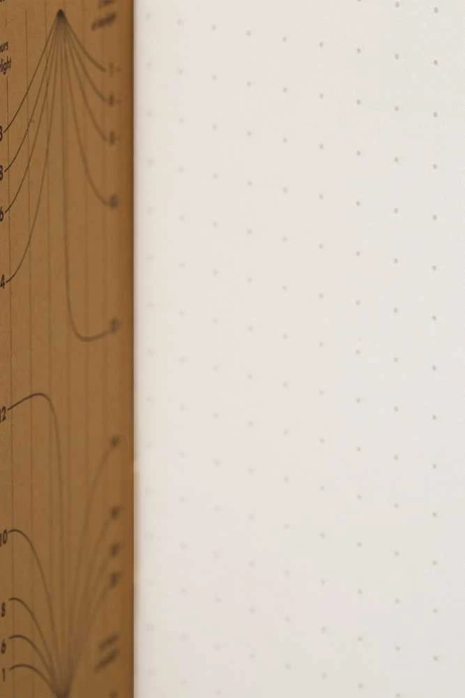 ASTRA art-pap Notes Field Notes Pirch Juodas Large Kropki 2 vnt.