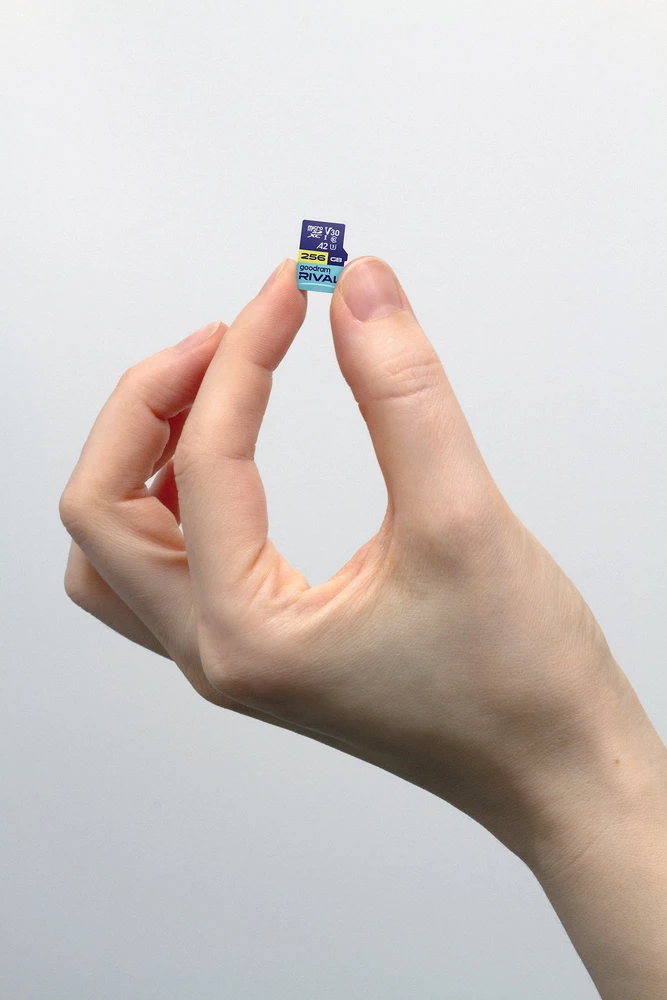 GOODRAM RIVAL M2AA 256 GB Micro SDXC V30 A2 UHS-I U3 + adapteris (GGSM2AA-2560R12)