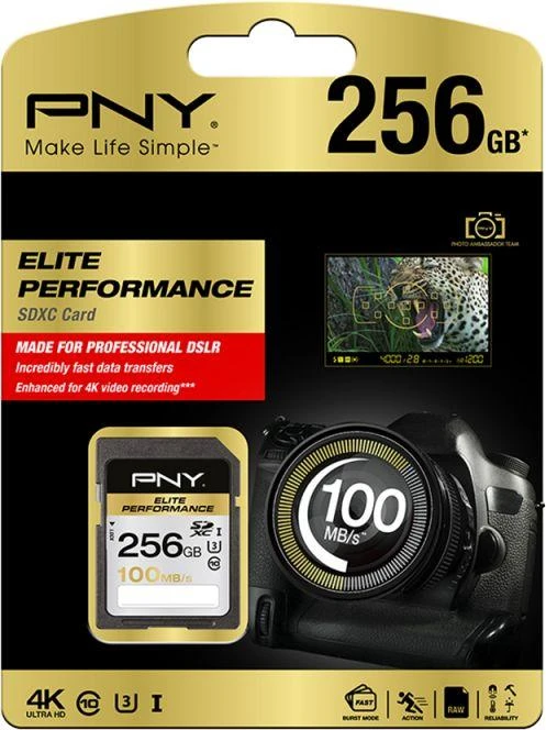 PNY 256GB SDXC kortelės pakuotė