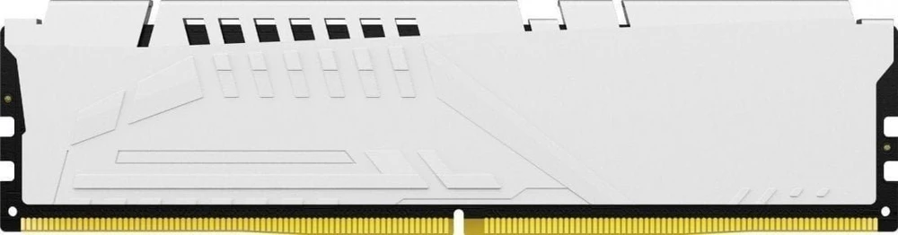 RAM „Kingston Technology FURY Beast“ 16 GB atminties modulis 1 x 16 GB DDR5 6000 MT/s