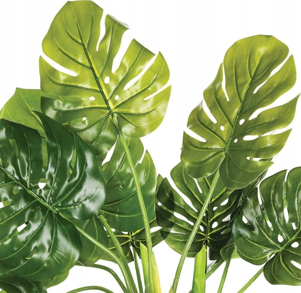 Atmosphera Atmosfera Dirbtinis augalas MONSTERA, 70 cm