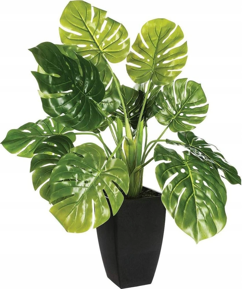 Atmosphera Atmosfera Dirbtinis augalas MONSTERA, 70 cm