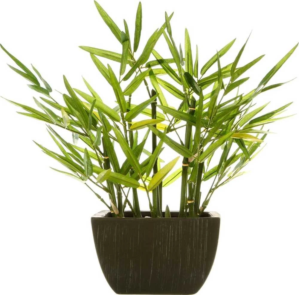 Atmosphera Dirbtinis augalas BAMBUS vazone, aukštis 35 cm