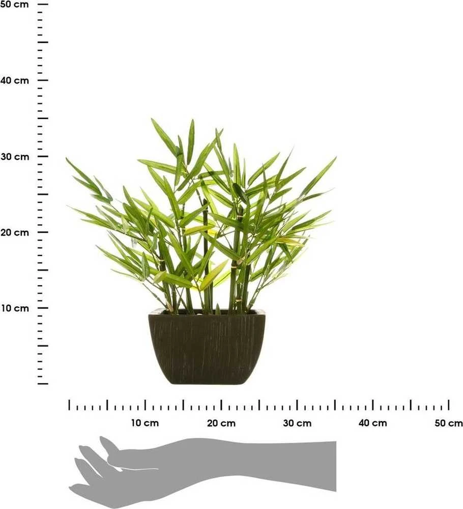 Atmosphera Dirbtinis augalas BAMBUS vazone, aukštis 35 cm