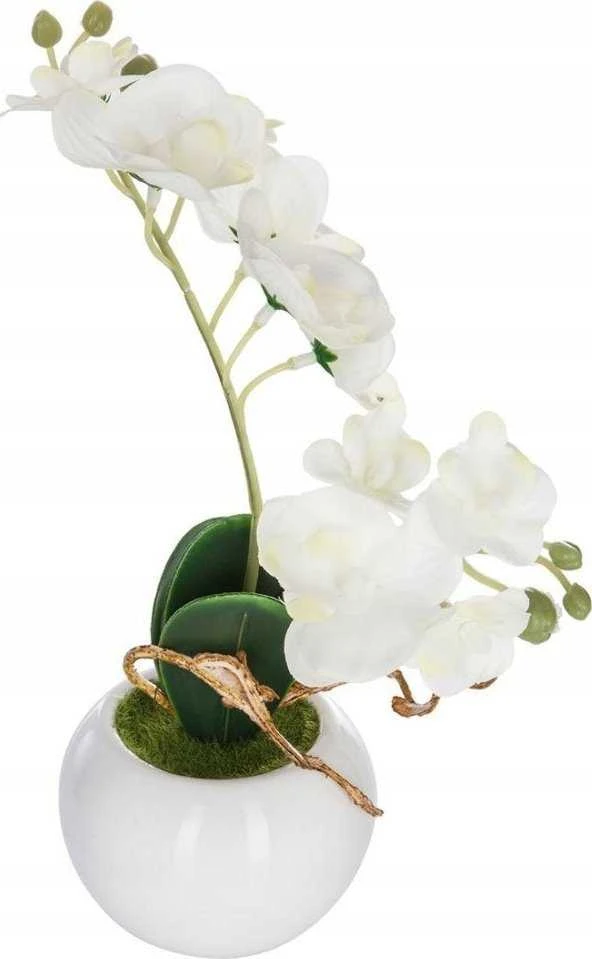 Balta dirbtinė orchidėja apvaliame vazone